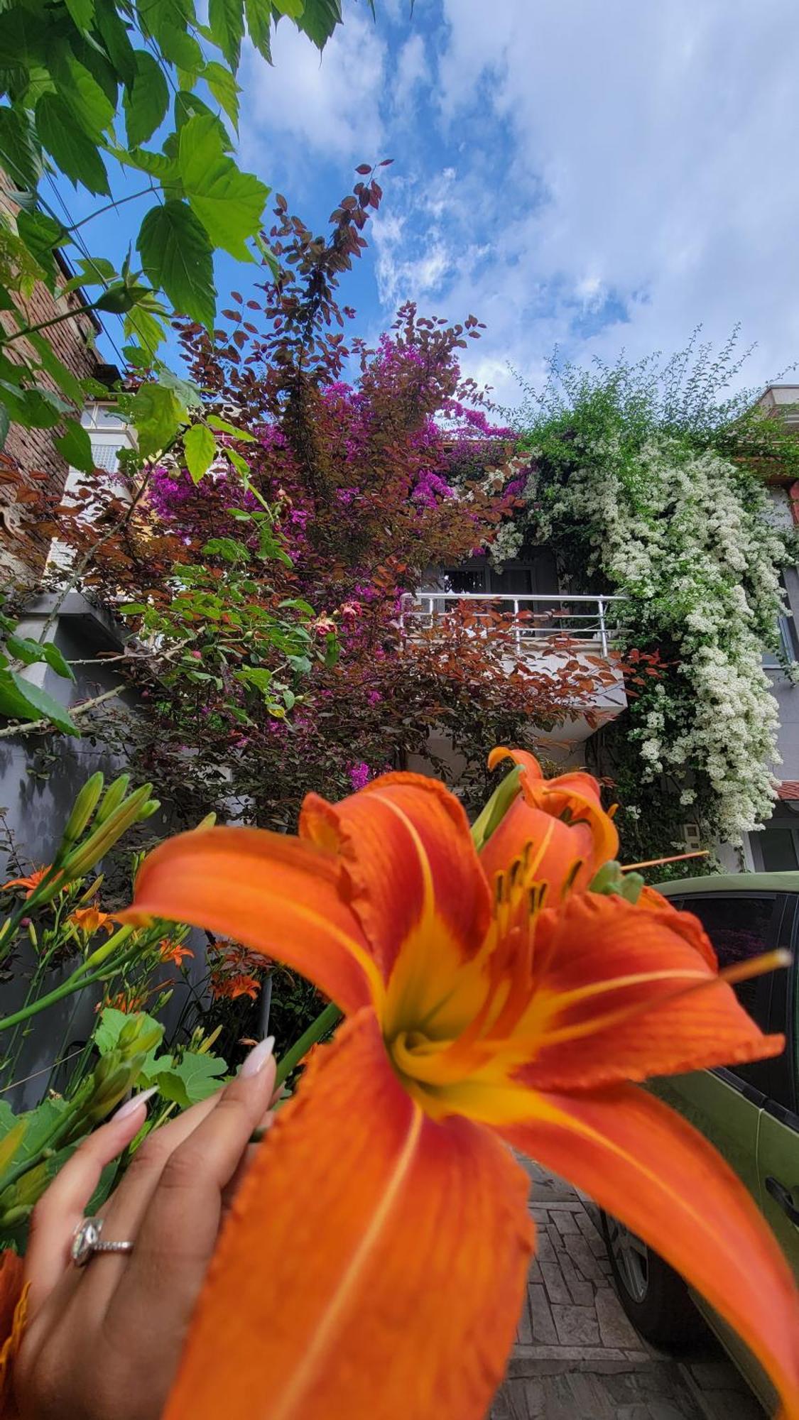 A Cheerful Villa With Free Parking Space تيرانا الغرفة الصورة